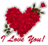 I love you , red heart, red rose, red text