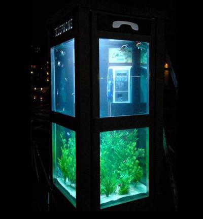 Fish Tank Phone Booth