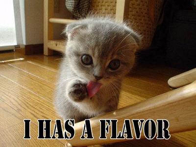 i-has-a-flavour-kitten