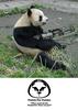 Pandas-need-guns