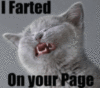 LOLCat: I Farted On Your Page