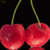 hot cherries