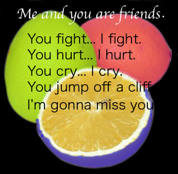 me and you are friends, you fight i fight, you hurt i hurt, you cry I cry, you jump off a cliff i 'm gonna miss you