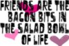 friends are the bacon bits in the salad bowl of life