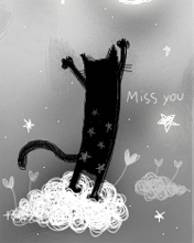 miss u funny black cat