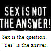 sex is not the answer YES is the answer