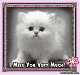 I miss you very much!