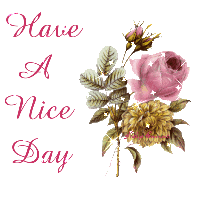 have a nice day!