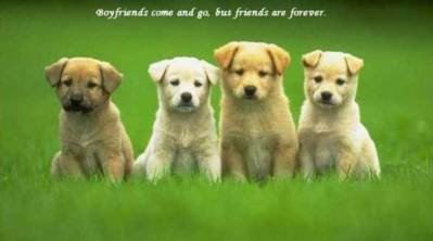 boyfriends come and go, but friends are forever
