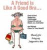 a friend is like a good bra