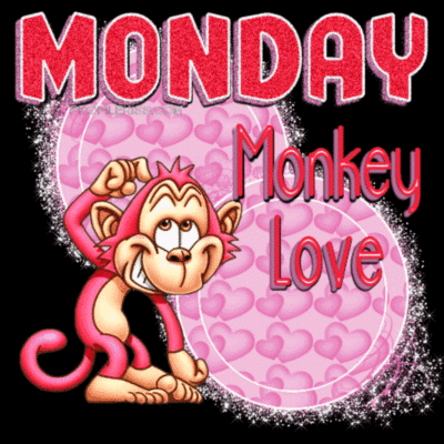 Monday Monkey love