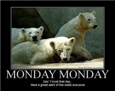 can't trust that day.... Have a great start of the week everyone