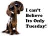 I can't believe its only Tuesday!