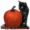 Halloween-PumpkinBlackCat