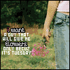 I want a guy that will give me flowers only because it's Tuesday