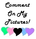 comment on my pictures!