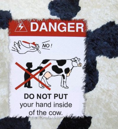 danger-cow