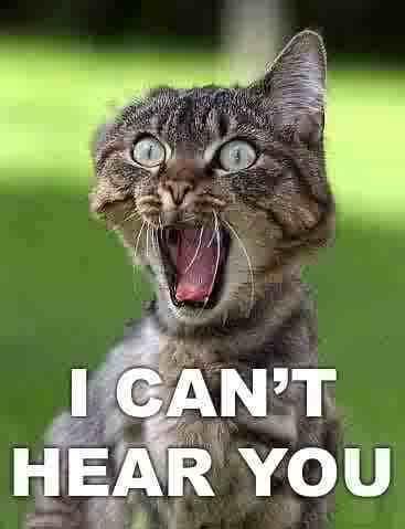 I Can't Hear You -- LOLCat