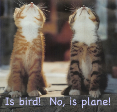 Is bird! No, is plane!