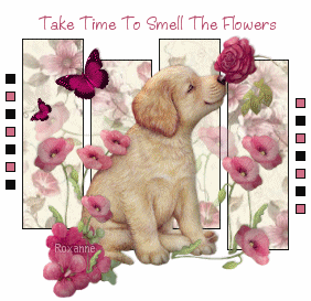 take time to smell the flowers