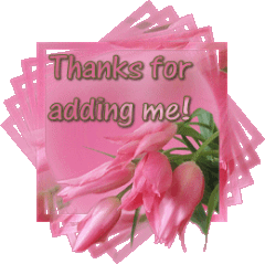 Thanks for adding me! - Pink Tulips