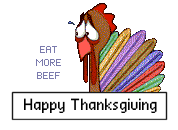 Happy Thanksgiving chix