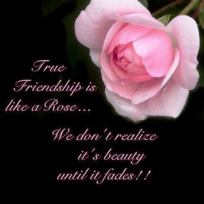 true friendship is like a rose...