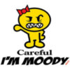 careful I'm moody