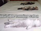 Invisible tanning salon