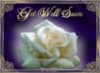 WHITE ROSE GET WELL