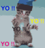 Yo Yo Yo Dancing Cat