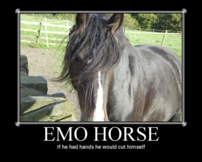 emo horse