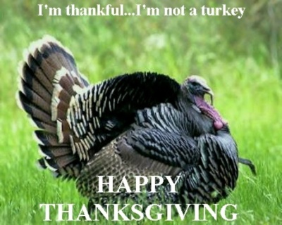 Happy Thanksgiving