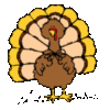 Thanksgiving Turkey