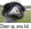 cheer up, emu kid