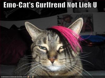emo cat's GF not liek u lol