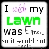 lawn