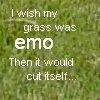 I wish my grass was emo, then it would cut itself
