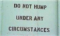 do not hump under any circumstances