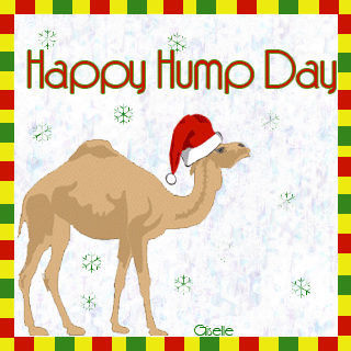 Happy Hump Day Christmas time