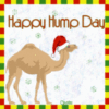 Happy Hump Day Christmas time