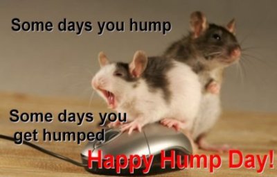 some days you hump, some days you get humped