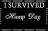 i SURVIVED HUMP DAY