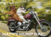 Ride it like you stole it! happy hump day!