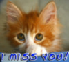 I miss you! blue text