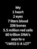 my 1 heart, 2 eyes, 7 liters blood, 206 bones, 5.5 million red cells , 60 trillion DNA's says to you I miss you a lot