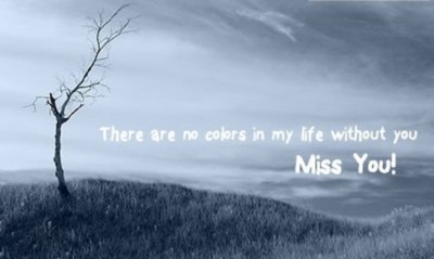 there are no colors in my life without you Miss You!