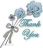 Thank you... light blue roses