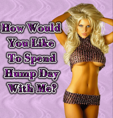 how would you like to spend hump day with me?
