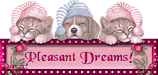 pleasant dreams!